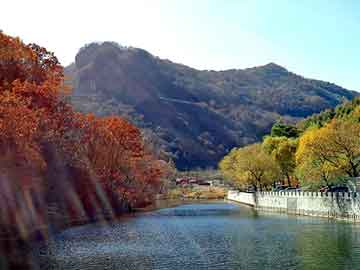 管家婆黑白马报图库，液压电梯